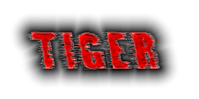 TigerAuction